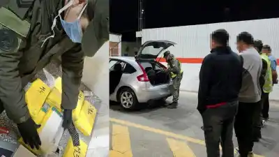 Gendarmería frenó un auto en la Ruta 40 y el perro no dejó de marcar los asientos traseros