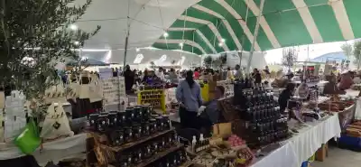 Oliva vive su fiesta grande: drones, 350 cabezas de hacienda y shows que no se quieren perder