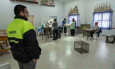 Castraciones gratuitas en Rawson: el quirófano móvil ya tiene fecha y lugar de estreno