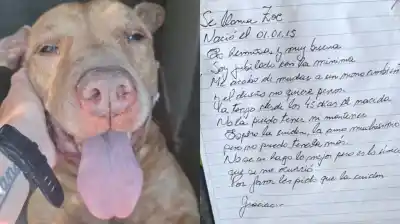 Ató a su perra en la tranquera de un refugio y dejó una carta: "La amo muchísimo, pero no puedo tenerla más"