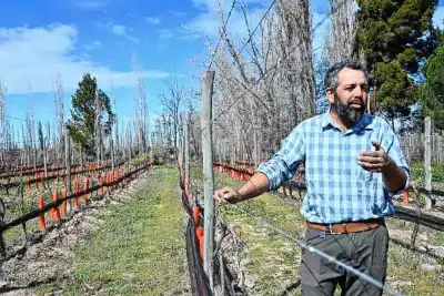 La bodega escondida entre las bardas de Cervantes que guarda un vino único en el mundo