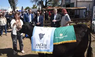 Ziliotto anunció créditos para el campo pampeano: la letra chica que nadie esperaba