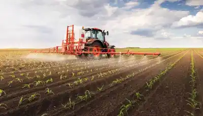 Corrientes disparó el crédito para el campo: el número que la pone arriba de todo el NEA