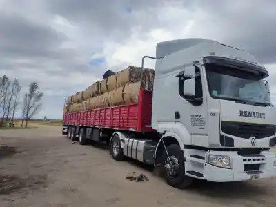 San Luis sumó un número inesperado de fardos de cartón a la industria: adónde fueron a parar