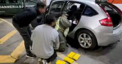 El perro se quedó quieto en el asiento trasero y encontraron 7 kilos ocultos en el auto