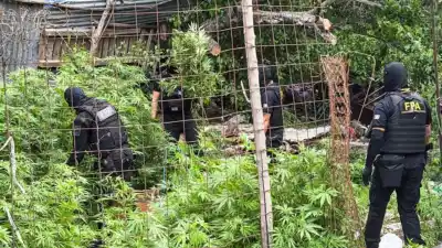 La "casa de los pitbulls" de Alta Gracia cayó con ocho detenidos