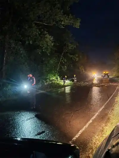 El temporal golpeó fuerte en el norte misionero: dos motociclistas chocaron contra un árbol caído en la ruta 12