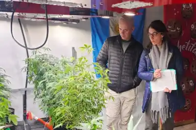 Cannabis medicinal en Tierra del Fuego: el dato que dejó conforme a los especialistas
