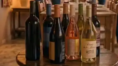 El vino sanjuanino se piensa en un simposio con entrada gratis: las tres miradas que se vienen
