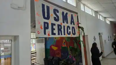 El 0800 que atiende las 24 horas en Jujuy: "Con voluntad no siempre alcanza"