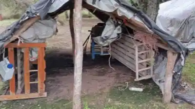 Un contratista lo tuvo 10 años viviendo en un rancho de silo bolsa: el final que nadie esperaba