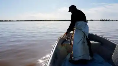 El salmón que nadie esperaba en el Paraná: la historia real que llega al cine