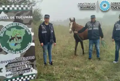 Recuperan un caballo robado en Simoca