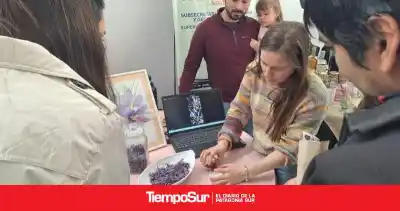 El intercambio de semillas que busca cambiarle la cara al norte de Santa Cruz