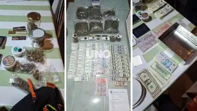 La ruta 11 los delató: viajaba con cogollos y destapó una red que operaba desde dos ONG cannábicas