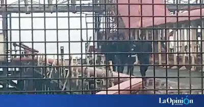 Iba a tirarse al agua en la costanera de Río Gallegos, pero los policías hicieron algo que lo cambió todo