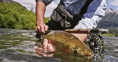 La licencia de pesca en Santa Cruz ya no te hace esperar: el cambio que sorprendió a todos