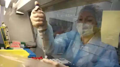 Un tubo roto en un laboratorio de Siberia desató una alerta sanitaria: murió una investigadora y aislaron a 200 personas