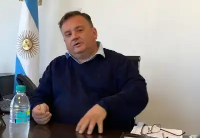 Corrientes apuesta a la madera: el plan que ya llena salas en el interior