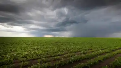 El Niño ya es "muy fuerte" y en Río Negro esperan un trimestre con más de 100 milímetros