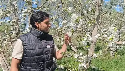 La temperatura bajo cero no lo dice todo: la herramienta que anticipa el daño real en las chacras