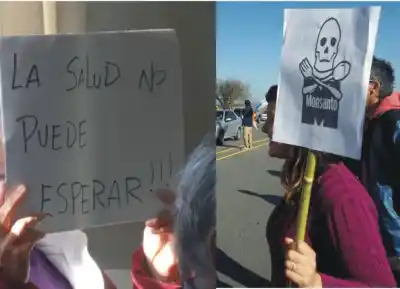 Una científica del INTA enfrenta la exoneración y el debate que Merlo ya conoce vuelve al centro