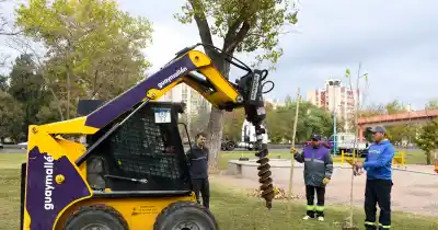 Guaymallén plantó 1.728 árboles, pero hay 273 que no volverás a ver