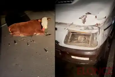 Una banda chamamecera chocó en plena ruta: todos se bajaron y no lo podían creer