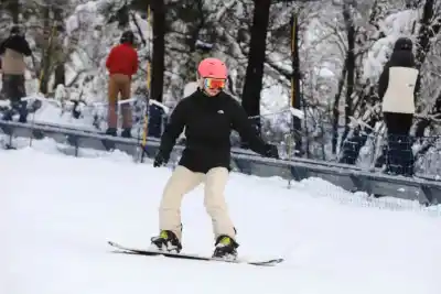 El invierno neuquino movió $260 mil millones: quiénes ganaron con la nieve