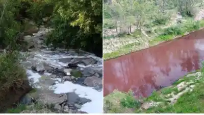 El arroyo que se tiñe de rojo cada octubre: la denuncia que Crespo no puede frenar