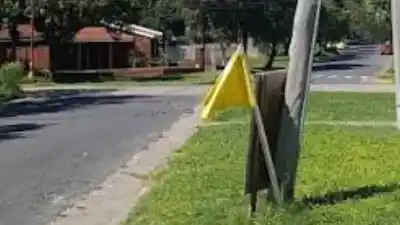 Vecinos lo atraparon robando un auto y lo dejaron amarrado a un poste: apareció desnudo
