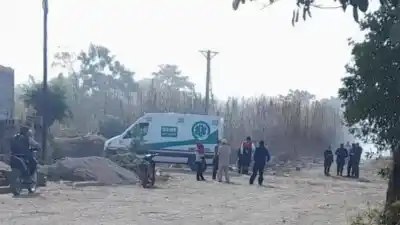 Una puñalada por la espalda en un aserradero: dos hermanos, dos caballos y la autopsia que definirá todo