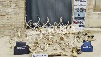 Allanaron un campo cerca de Zapala y adentro había un arsenal que nadie podía explicar