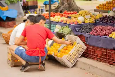 Las Ferias de la Ciudad vuelven con un recorrido que cambia de barrio en barrio