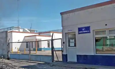 La planta de Puerto Madryn que buscaba 100 operarios y terminó con una fila de dos cuadras