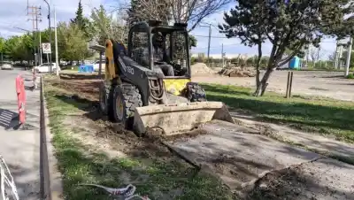 Cipolletti arrancó el Parque del Mercado: el detalle del álamo que marcará la entrada a la ciudad