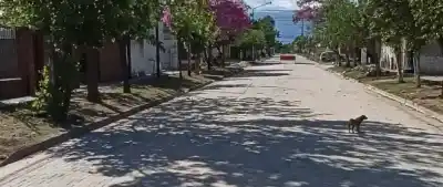Barrio Tradición: la calle Granadero Baigorria ya tiene sus 200 metros de pavimento