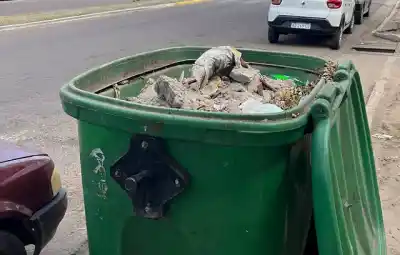 Llenó un contenedor con escombros y después hizo algo que le salió caro