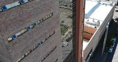 Vecinos de Roca no salen de su asombro: la escena de la navaja que terminó con un detenido