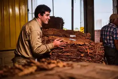 El FET larga un pago millonario en Misiones: quiénes cobran desde este martes