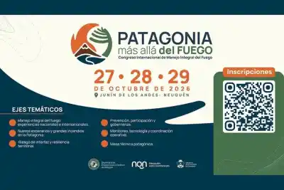 Cuatro países y un mismo fuego: la Patagonia se sienta a repensar cómo combatir los incendios
