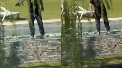 Un vecino de Nordelta disparó contra los carpinchos: las diez detonaciones quedaron grabadas