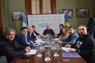 Dos proyectos de salud de Kicillof avanzaron en el Senado: quiénes se bajaron del barco