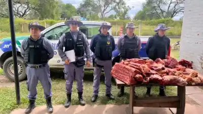 Control en una carnicería de Lapachito: lo que apareció entre la carne complicó al dueño