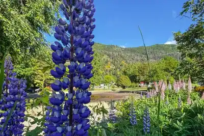 San Martín de los Andes: el paisaje que la primavera empieza a teñir de verde