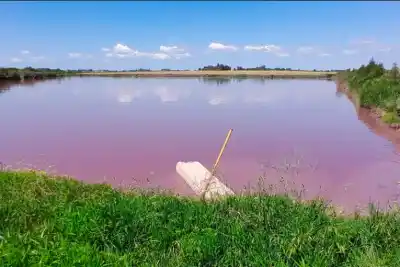 Vecinos notaron algo raro en el agua del arroyo Espinillo: la Provincia ya sabe qué lo provoca