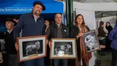 El campo de Sarmiento vendió todo lo que puso en remate: el número que dejó el gran campeón