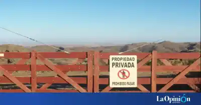Santa Cruz quiere poner un techo a la compra de tierras por extranjeros: los números que encendieron las alarmas