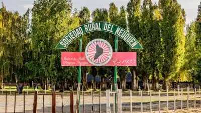 El fuego ya no se combate solo con agua: Neuquén reúne a cuatro países para repensar cómo enfrentarlo