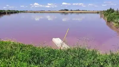 El arroyo Espinillo cambió de color y los primeros análisis ya tienen un sospechoso